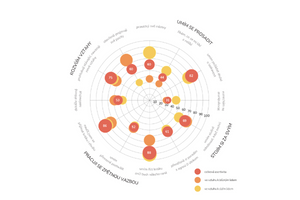 Ukázka grafu z výstupní zprávy Dotazníku komunikačního stylu – asertivity pro pracovní prostředí